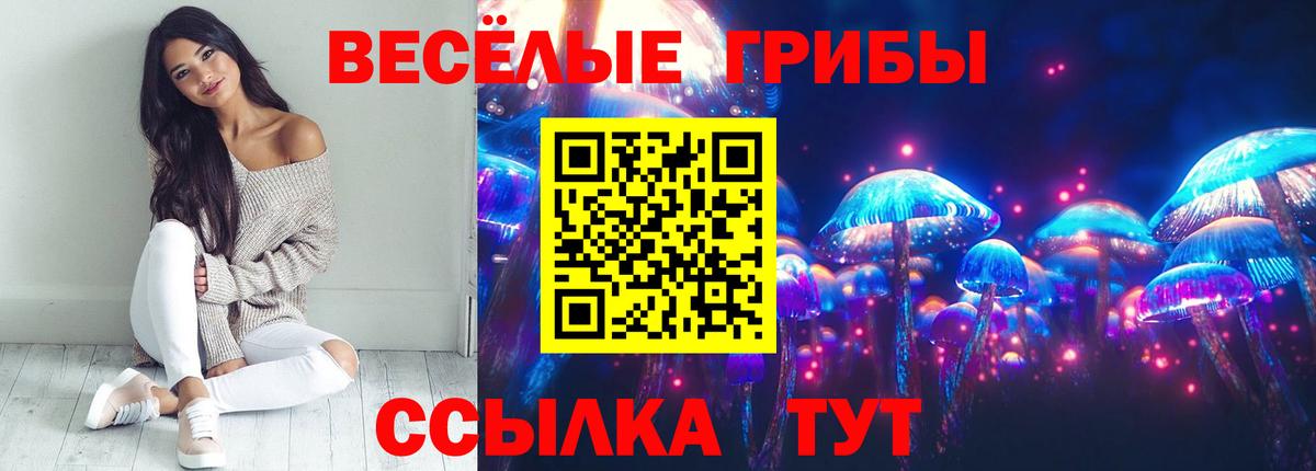 Галлюциногенные грибы Cubensis Избербаш